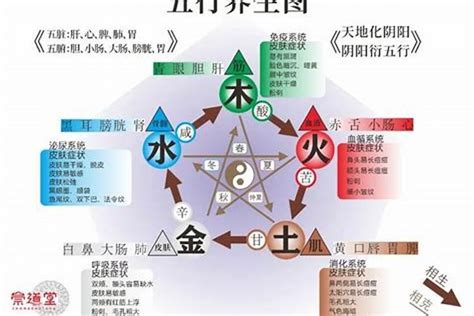 缺水五行|五行缺水的人注意什么